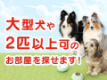株式会社スマイリア