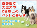 （株）スマイリア