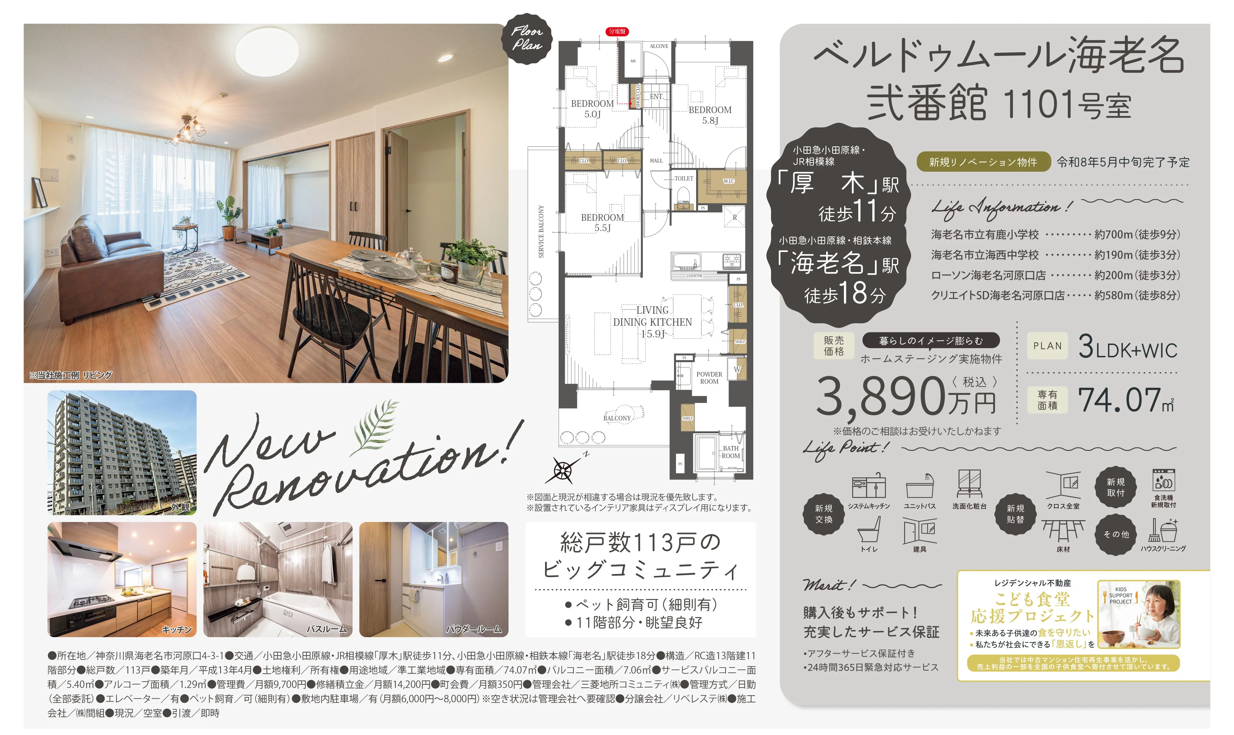 ベルドゥムール海老名 1101号 0