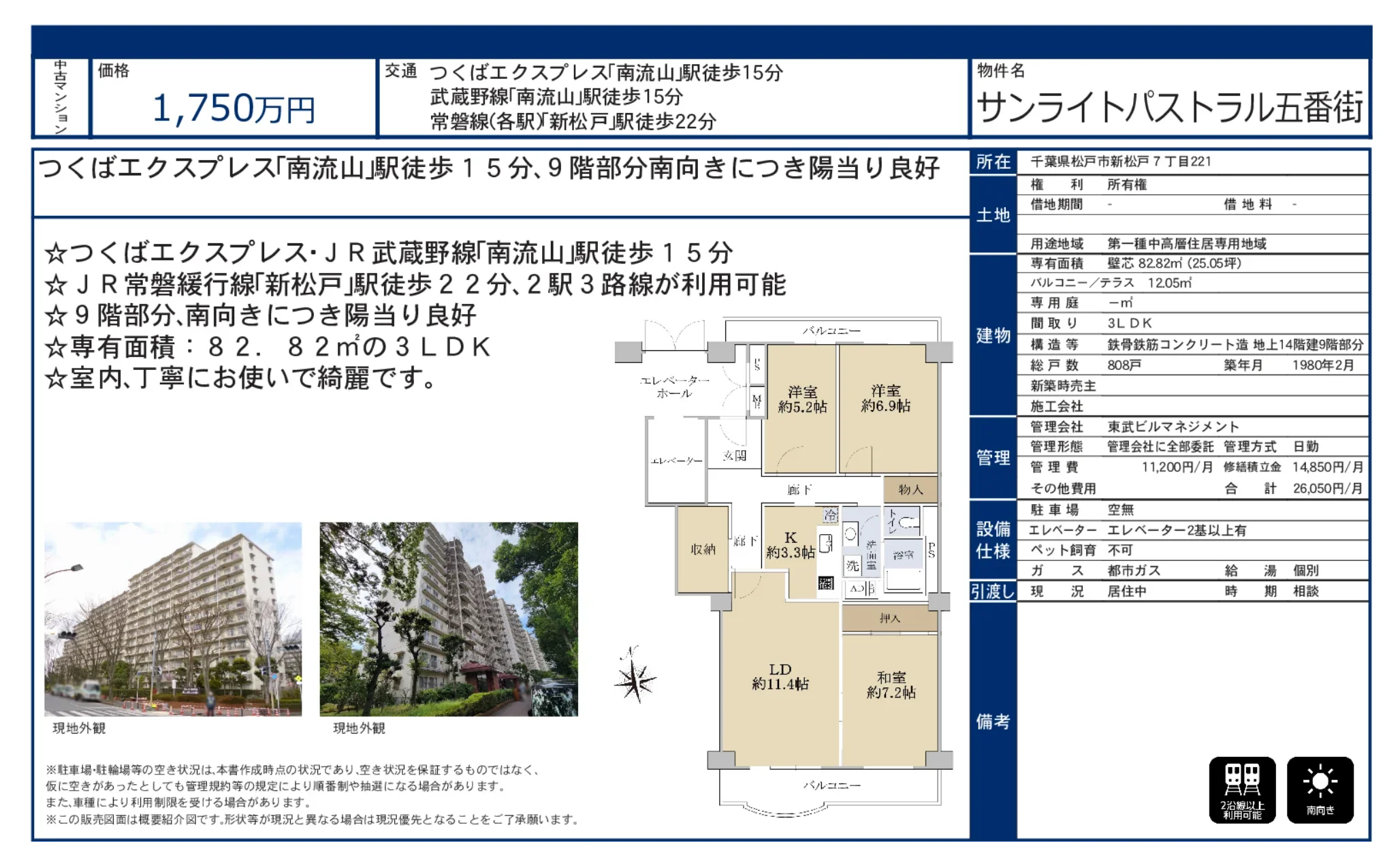 サンライトパストラル五番街 9号 0