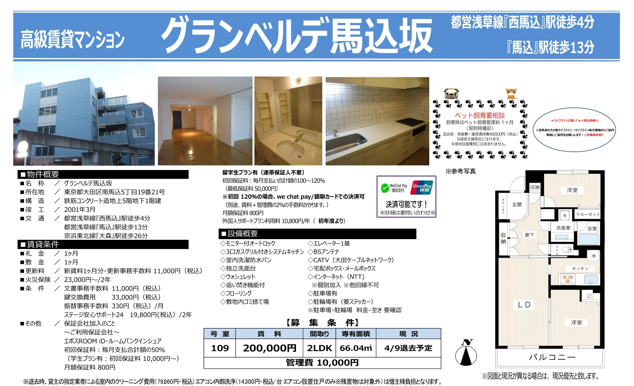 グランベルデ馬込坂 109号 0