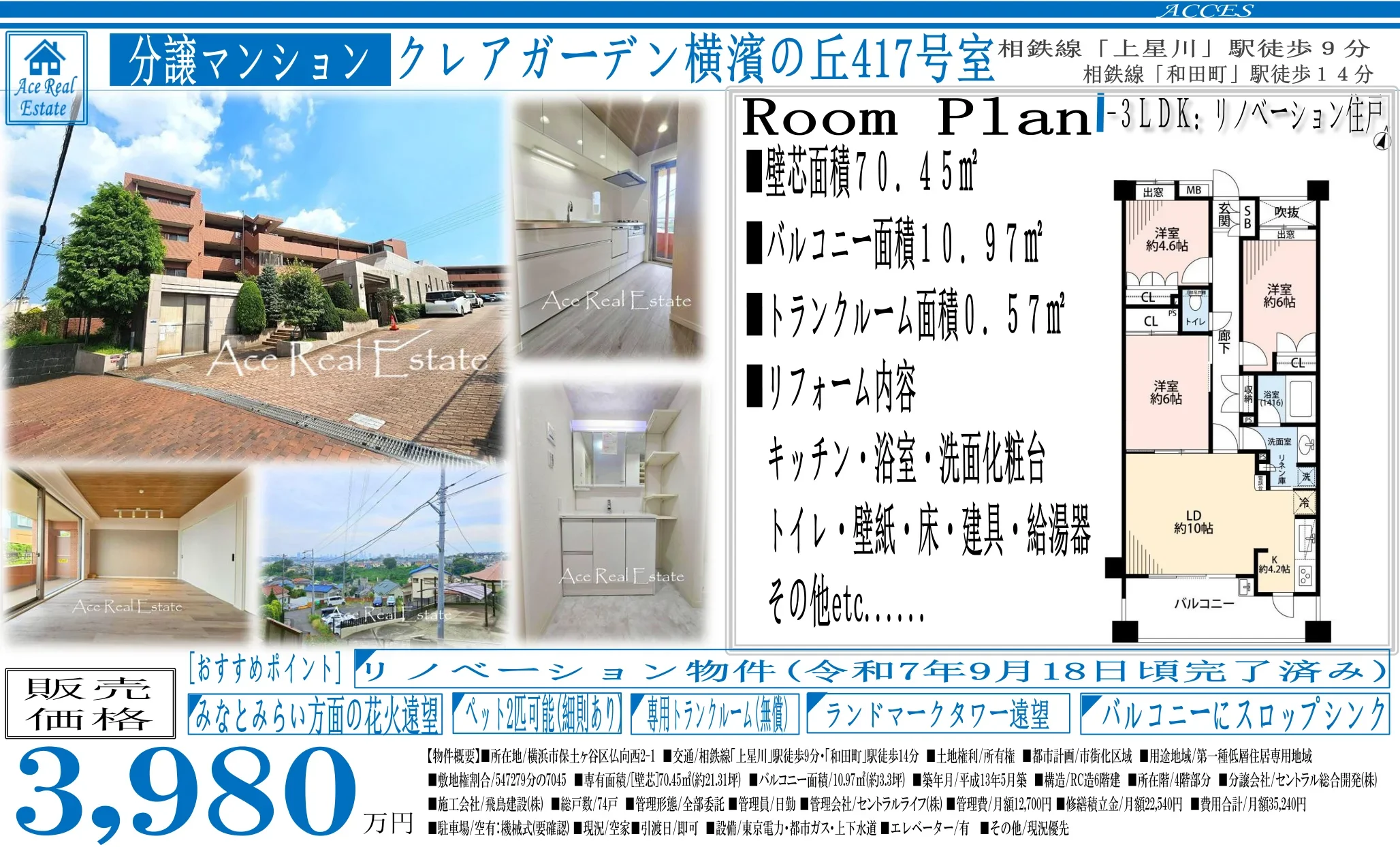 分譲マンション Ace Real 417号 0