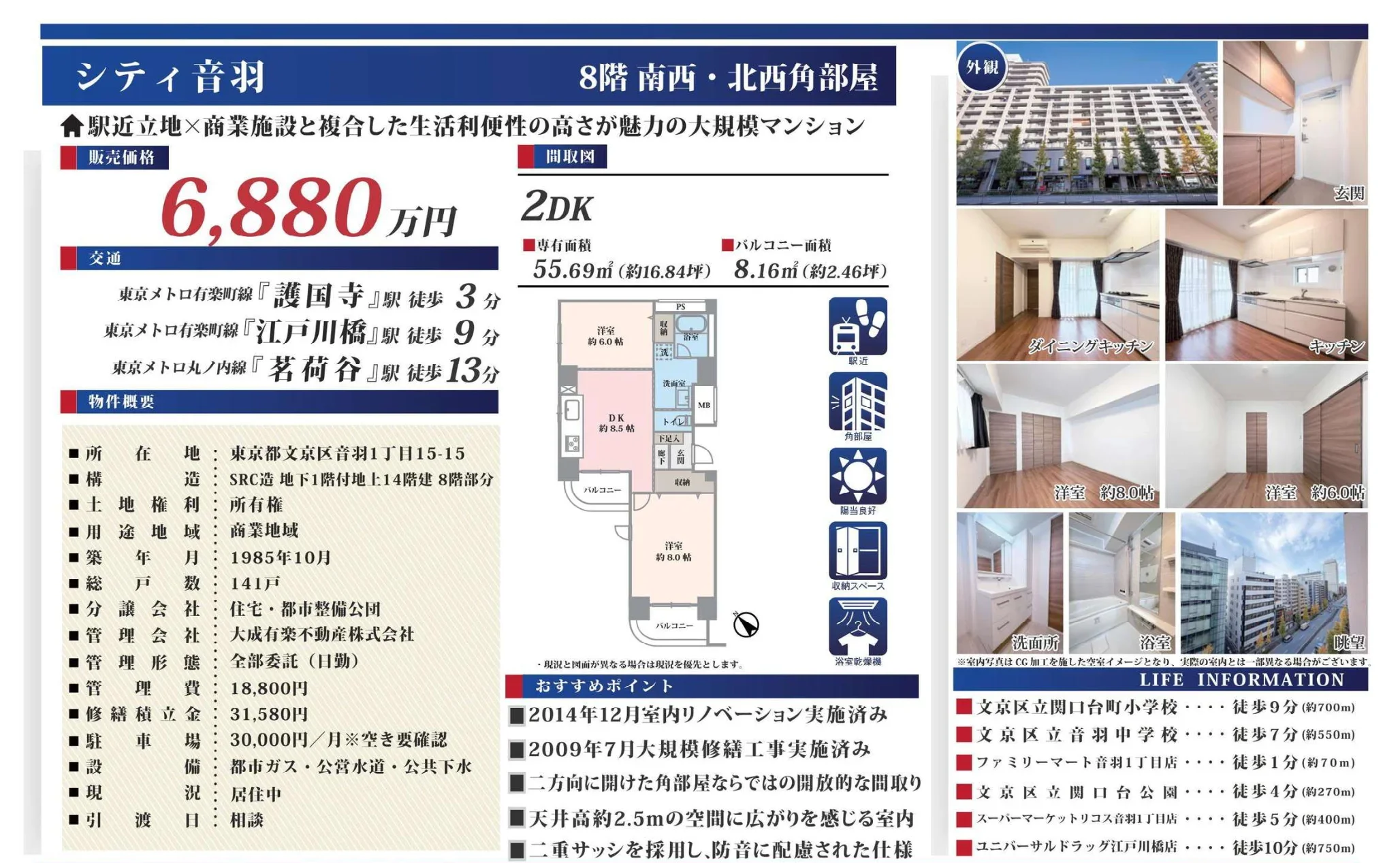 シティ音羽 8号 0