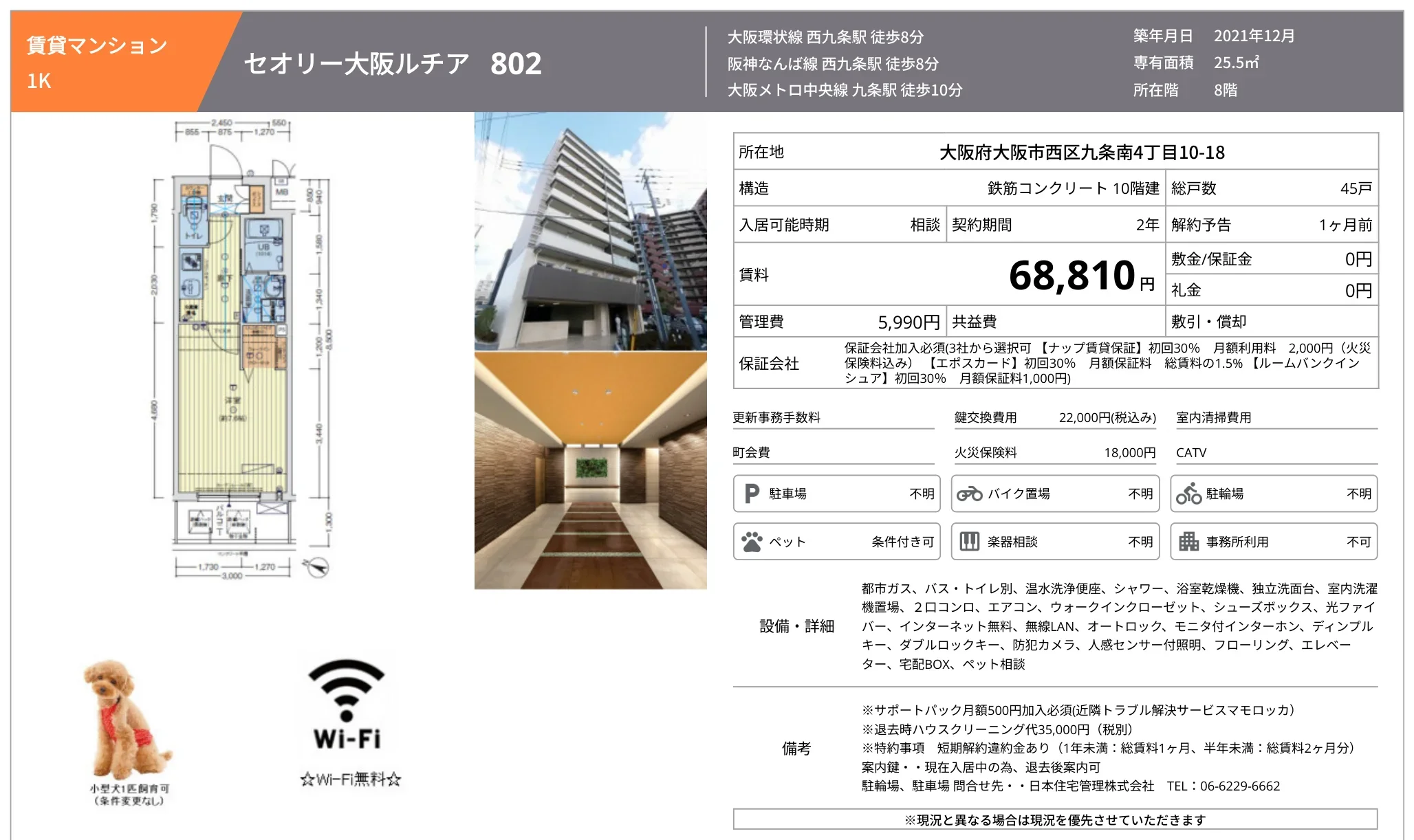 セオリー大阪ルチア 802 0