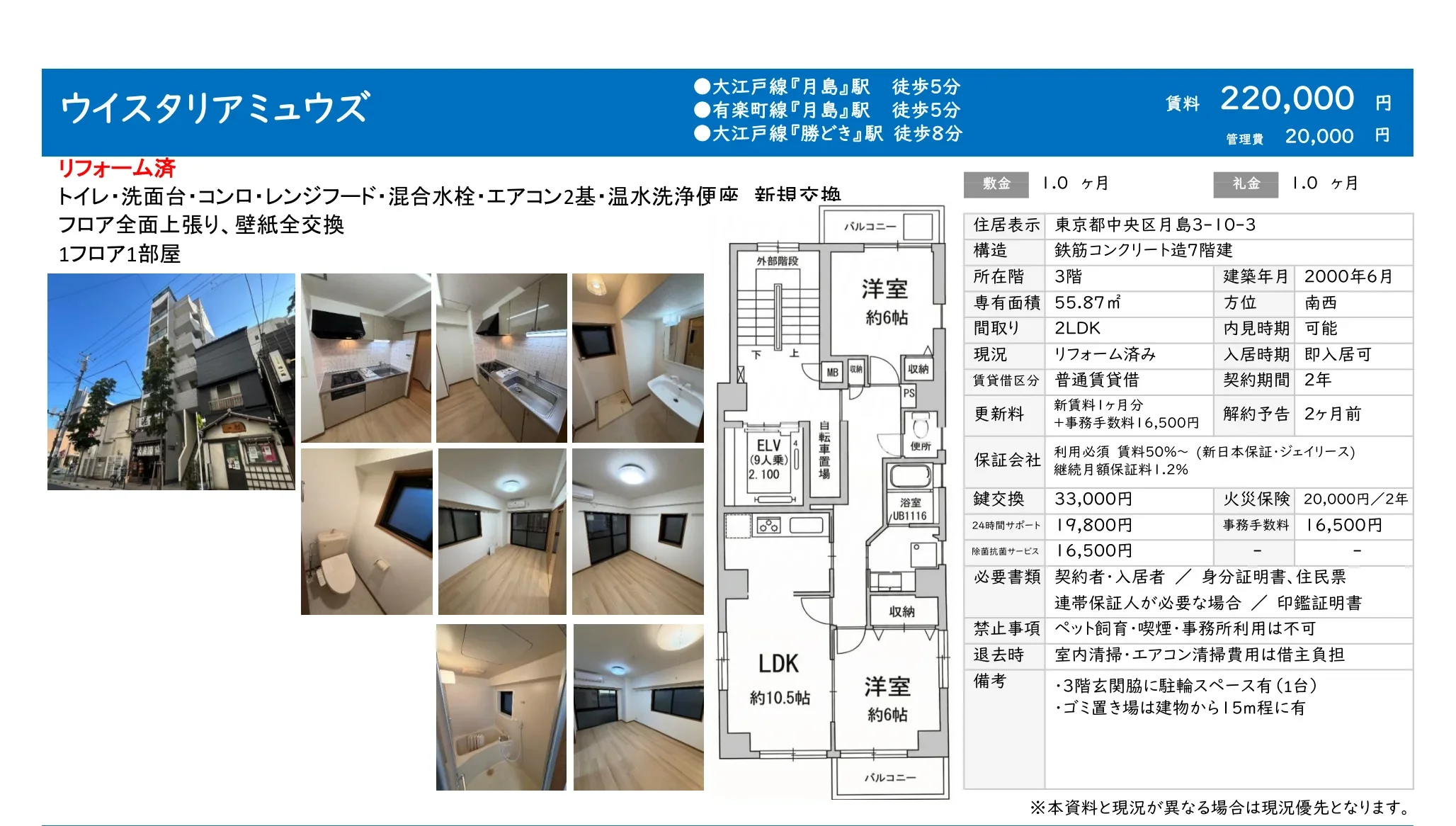 ウイスタリアミュウズ 3号 0