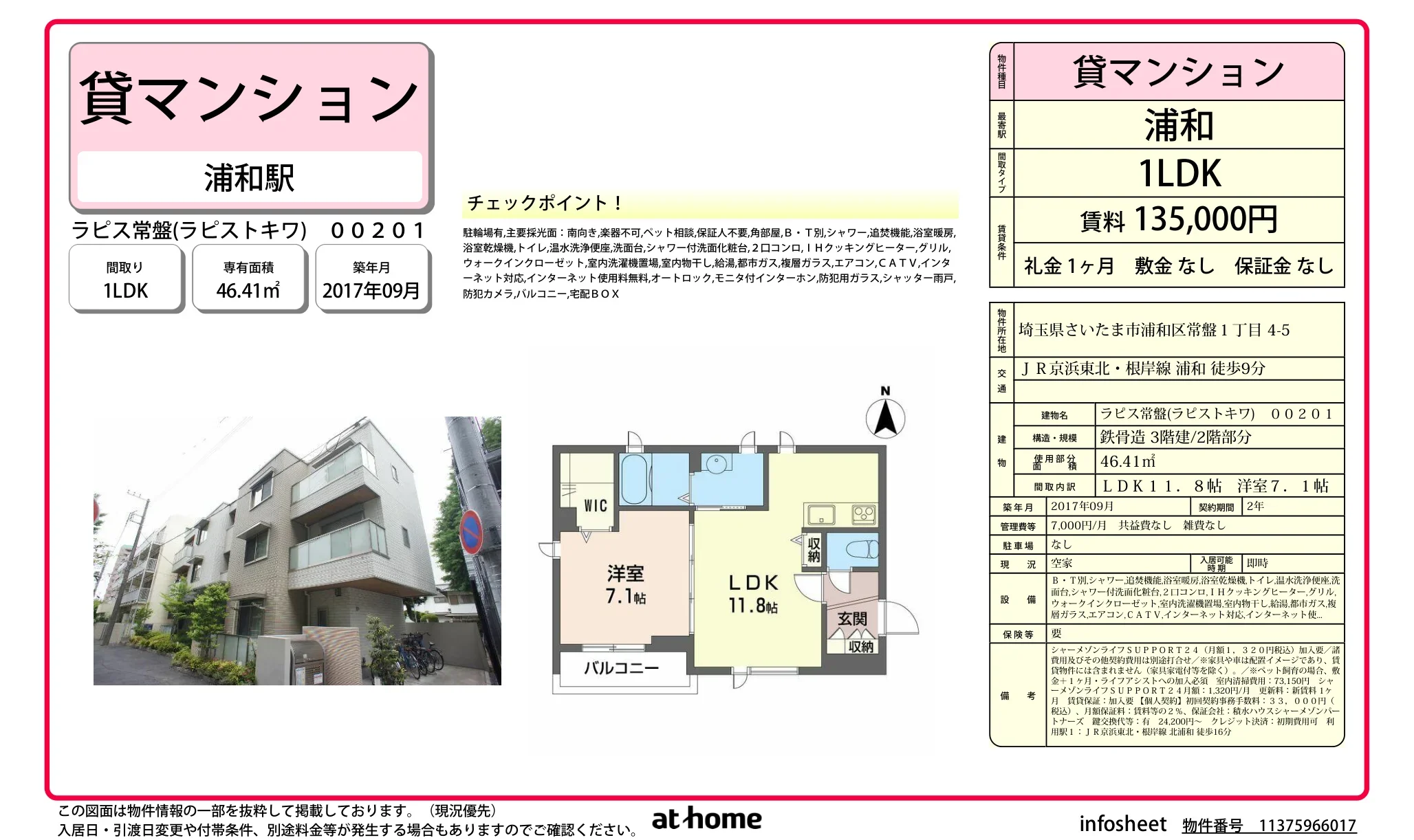 ラピス常盤(ラピストキワ) 00201 0