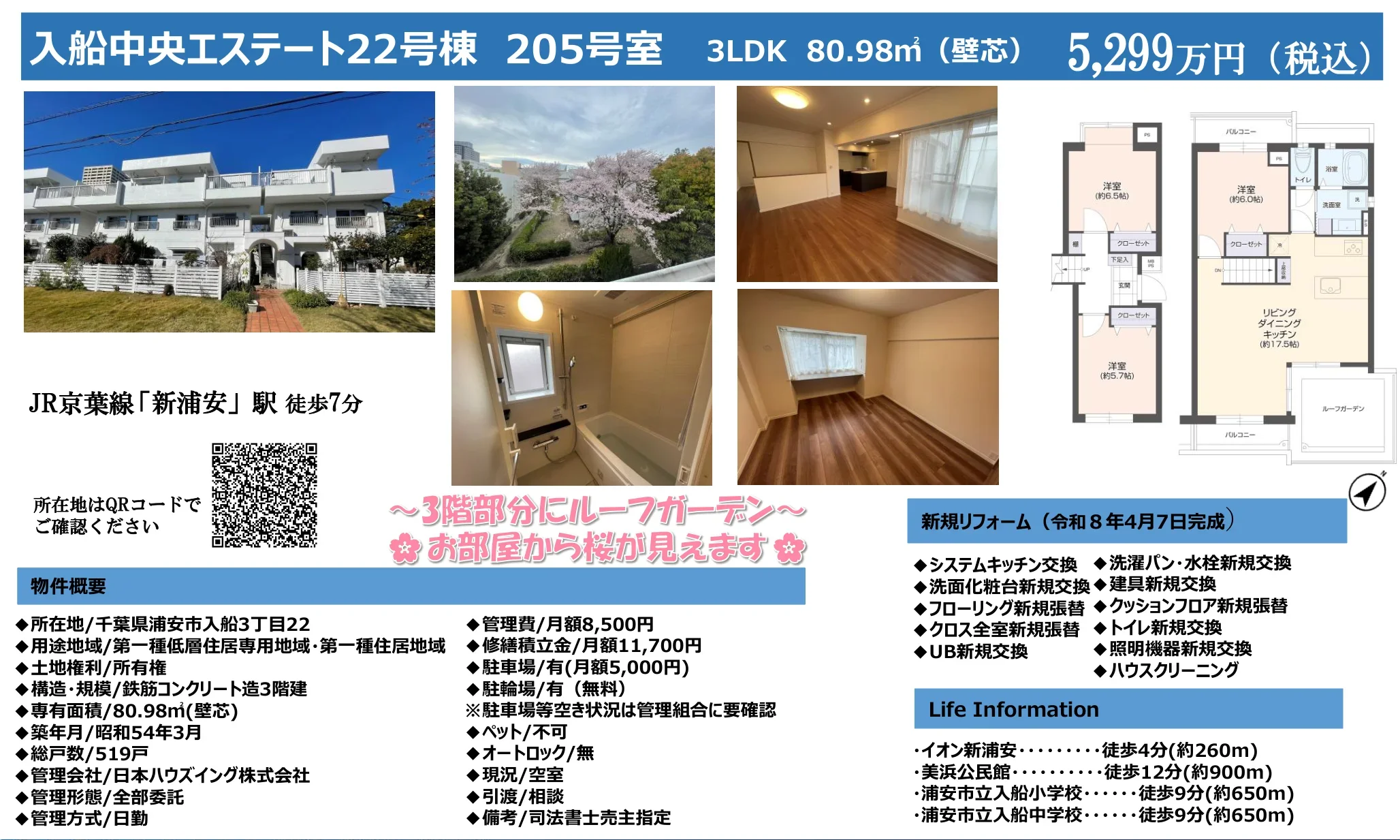 入船中央エステート22号棟 205号 0