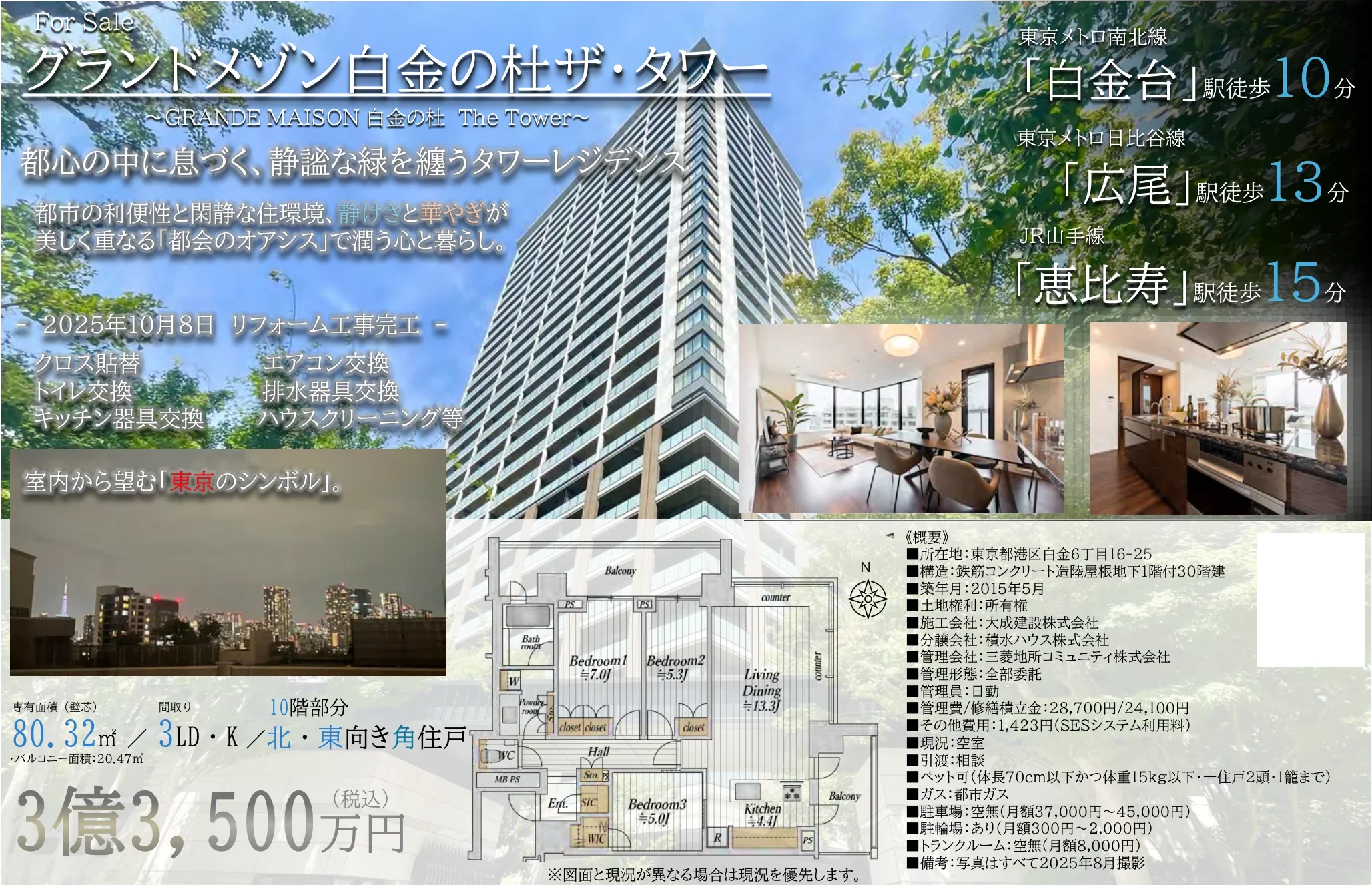 グランドメゾン白金の杜ザ・タワ 10号 0