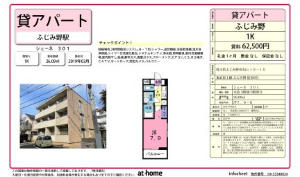 シェーネ