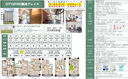 ＣＩＴＹ　ＳＰＩＲＥ難波　グレイス