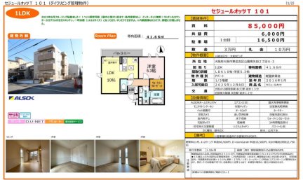 セジュールオッツＴ