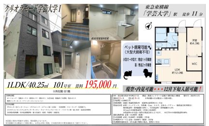 クリオラモード学芸大学Ⅰ