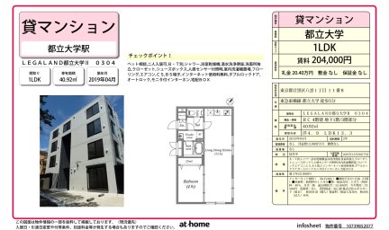 ＬＥＧＡＬＡＮＤ都立大学Ⅱ