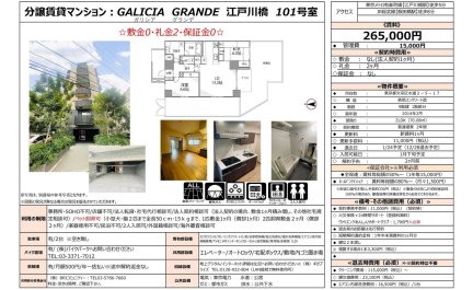 ガリシアグランデ江戸川橋