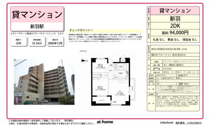 エヴァーグリーン新羽