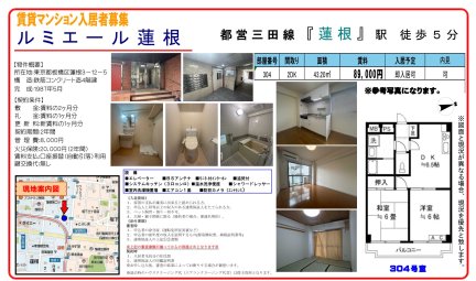 ルミエール蓮根