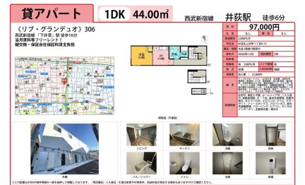 リブ・グランデュオ