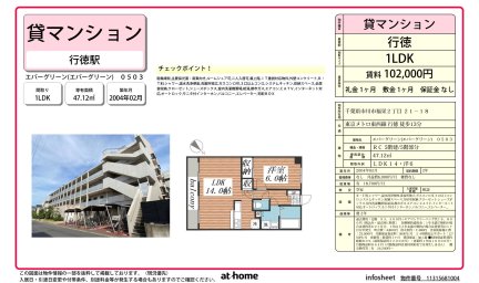 エバーグリーン