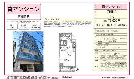 Ｐａｕｌｏｗｎｉａ　Ｖａｌｌｅｙ　ｔａｋｅ４西横浜