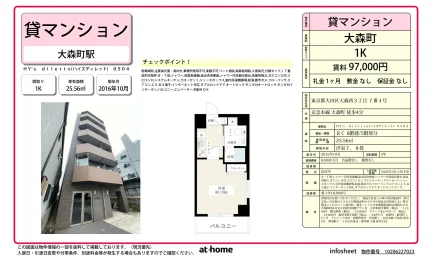 ＨＹ’ｓ　ｄｉｌｅｔｔｏ