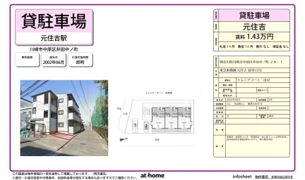 トレニアコート