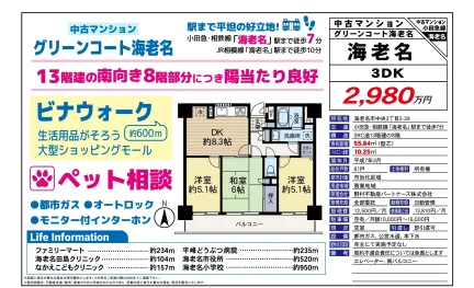グリーンコート海老名 8号 0