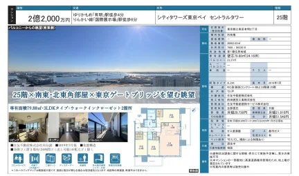 シティタワーズ東京ベイ セントラルタワー 25号 0