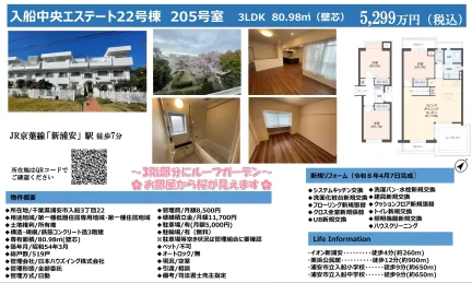 入船中央エステート22号棟 205号 0