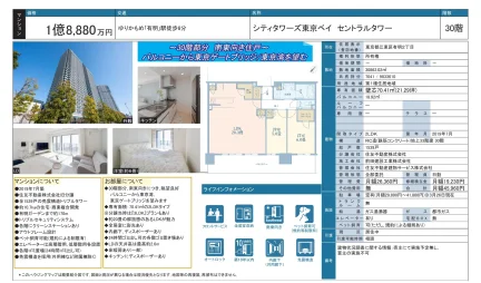 シティタワーズ東京ベイ セントラルタワー 30号 0