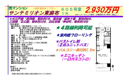 サンテミリオン東麻布 605号 0