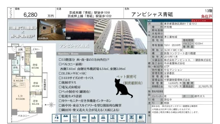 アンビシャス青砥 13号 0