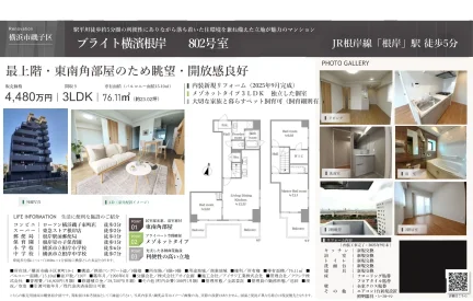 ブライト横濱根岸 802号 0