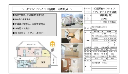 グランドハイツ甲陽園 491号室 0