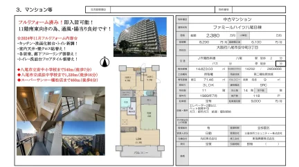 ファミールハイツ八尾B棟 11階 0