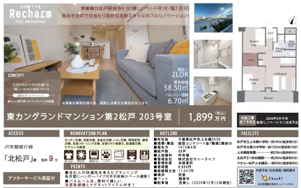 東カングランドマンション第2松戸 203号室 203号 0
