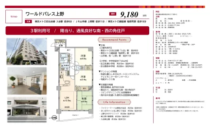 ワールドパレス上野 3階 0