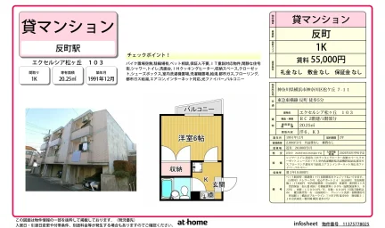 エクセルシア松ヶ丘 103号 0