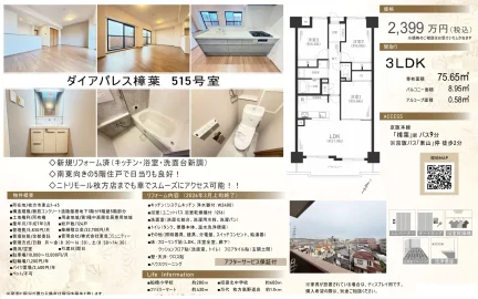 ダイアパレス樟葉 0