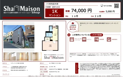 シティハイツ川崎 302号 0