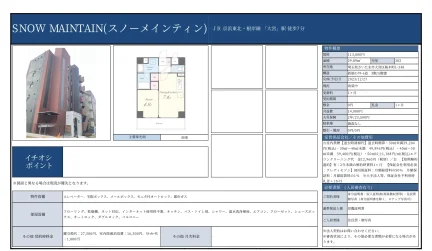 スノーメインティン 302号 0