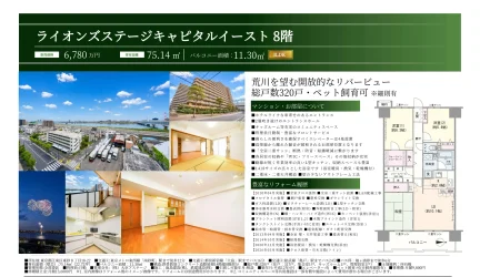 ライオンズステージキャピタルイースト 8号 0