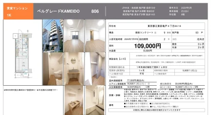 ベルグレードKAMEIDO 806 0