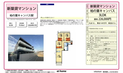 アレーズカシワノハ 201 201号 0