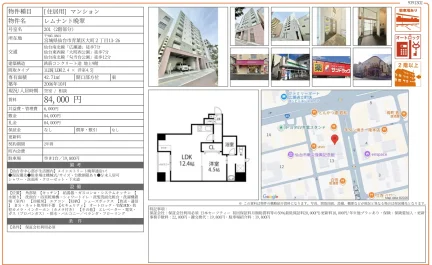 レムナント晩翠 201号 0