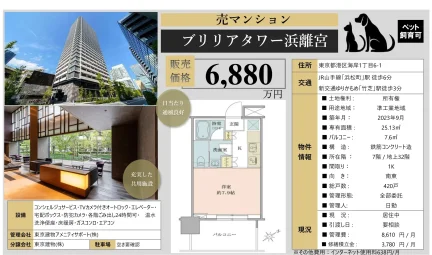 ブリリアタワー浜離宮 7号 0
