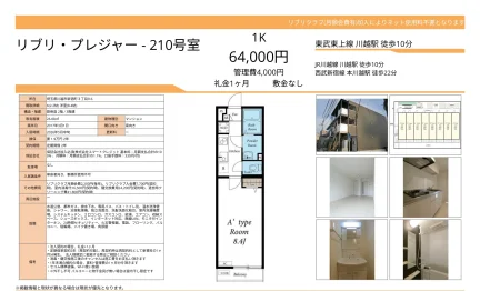 リブリ・プレジャー 210号 0