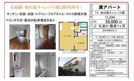 第3山新ハイツ 103号 0