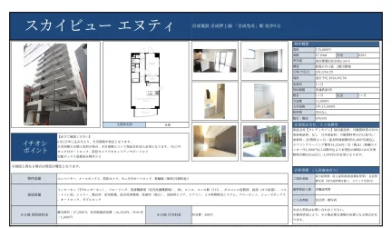 スカイビューエヌティ 0203号 0
