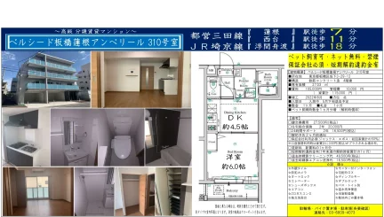 ベルシード板橋蓮根アンベリール 310号 0