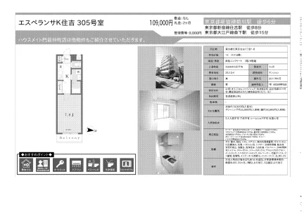エスペランサK住吉 305号 0